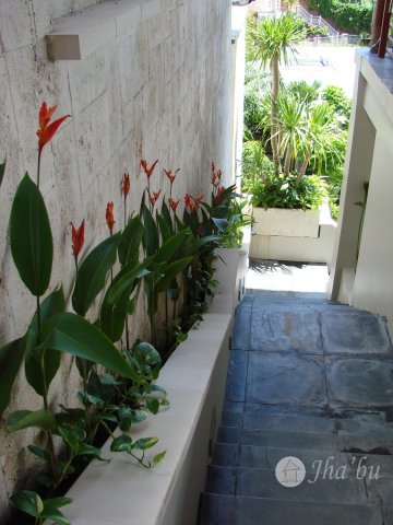 Completed Project